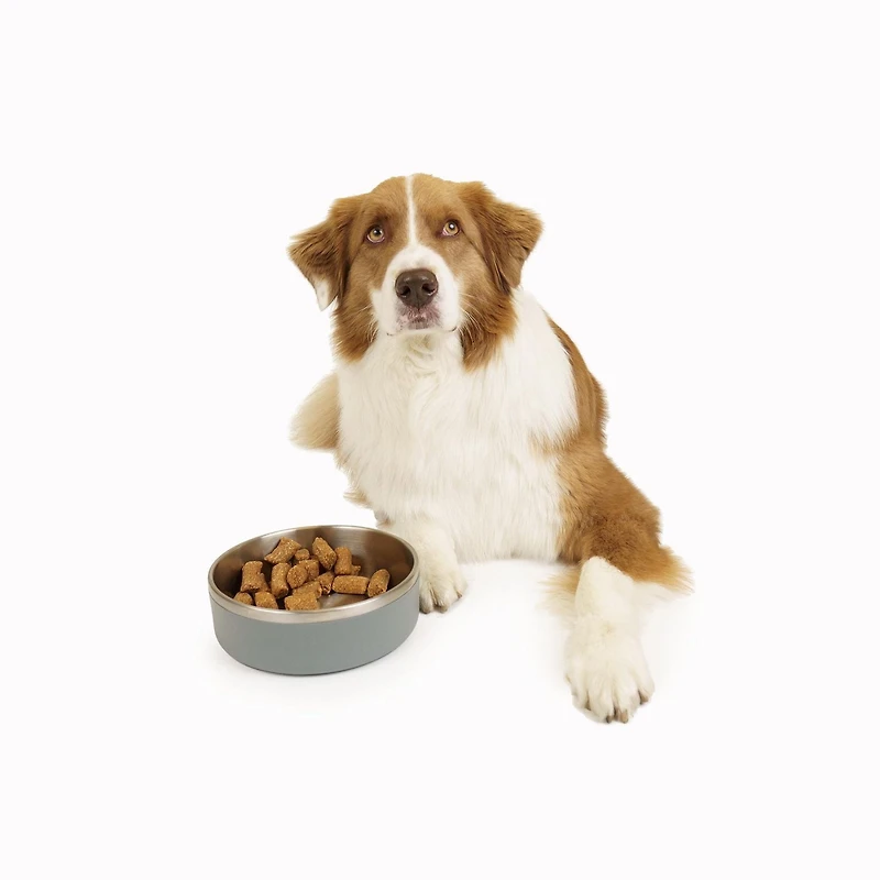One Paw, Small Double Stainless Steel Dog Bowl, 1.3L (44 OZ), Small Double Stainless Steel Bowl