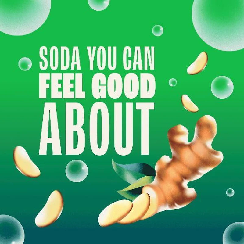 Zevia Ginger Ale Sleek 355 ml, Ginger Ale 355 mL