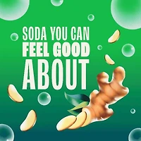 Zevia Ginger Ale Sleek 355 ml, Ginger Ale 355 mL