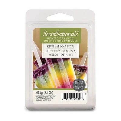 Bloc de cire parfumée ScentSationals - Sucettes Glacés à melon de kiwi