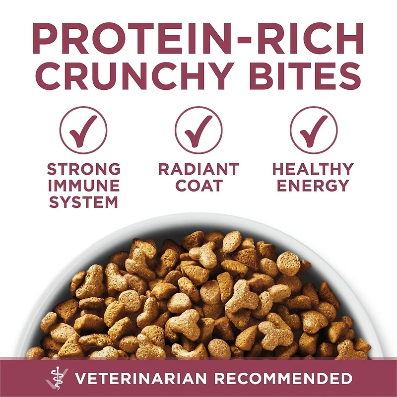 Purina ONE +Plus Chats Âgés 7+ Poulet, Nourriture Sèche pour Chats 1,8 kg 1,8kg