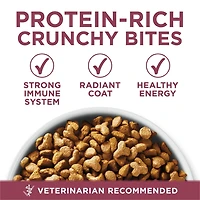 Purina ONE +Plus Chats Âgés 7+ Poulet, Nourriture Sèche pour Chats 1,8 kg 1,8kg