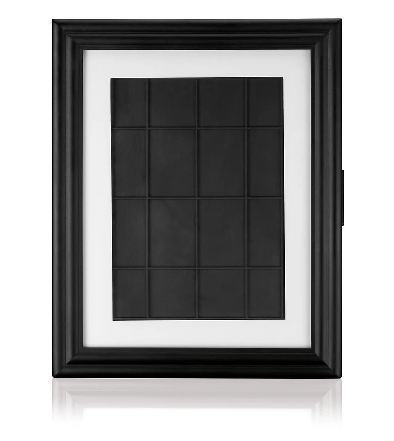 Lighted Picture Mirror (TM) System