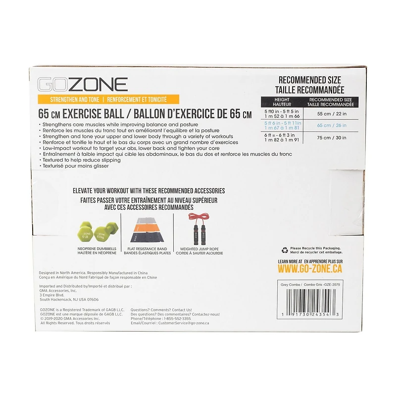 Ballon d’exercice GoZone Pompe à main incluse