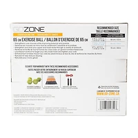 Ballon d’exercice GoZone Pompe à main incluse