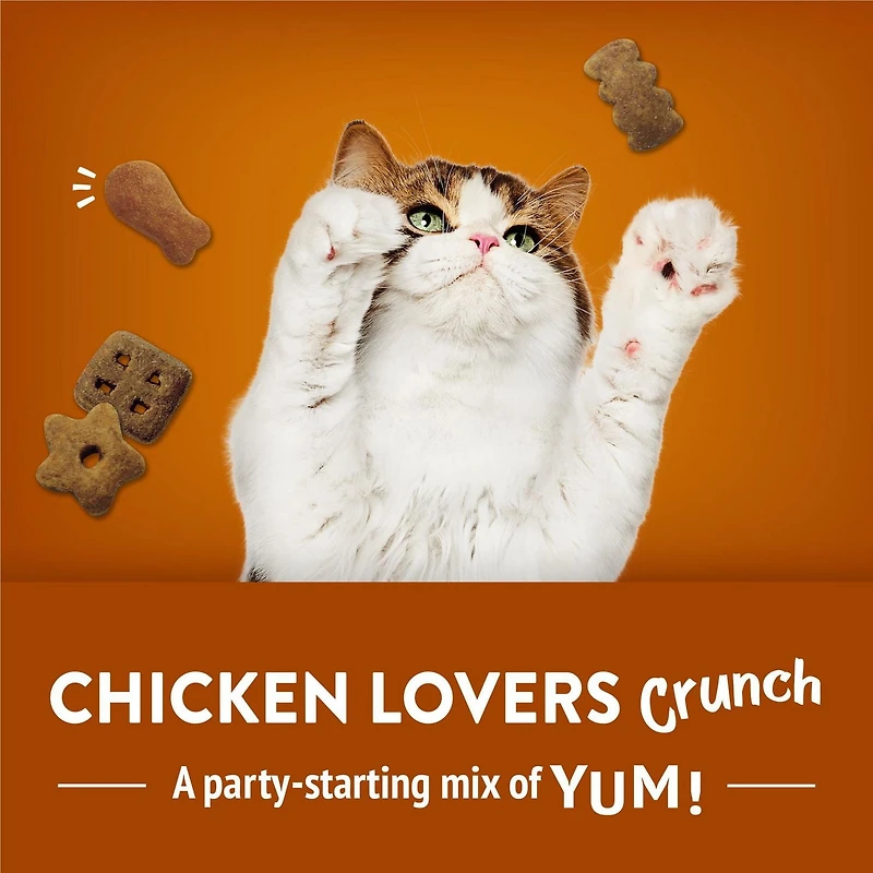 Friskies Party Mix Chicken Lovers Crunch, Cat Treats 170g, 170 g
