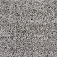 Tapis d'intérieur Fascination Chrome 5'x7'