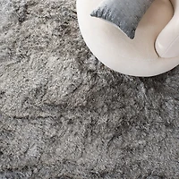 Safavieh Paris Darwin Plush Shag Area Rug