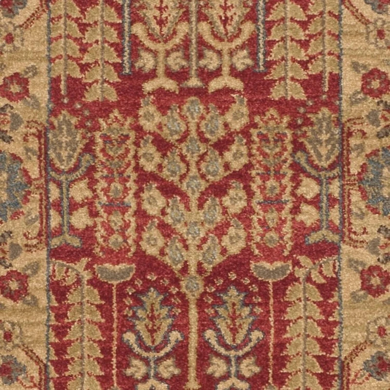 Safavieh Mahal Phylliss Traditional Area Rug