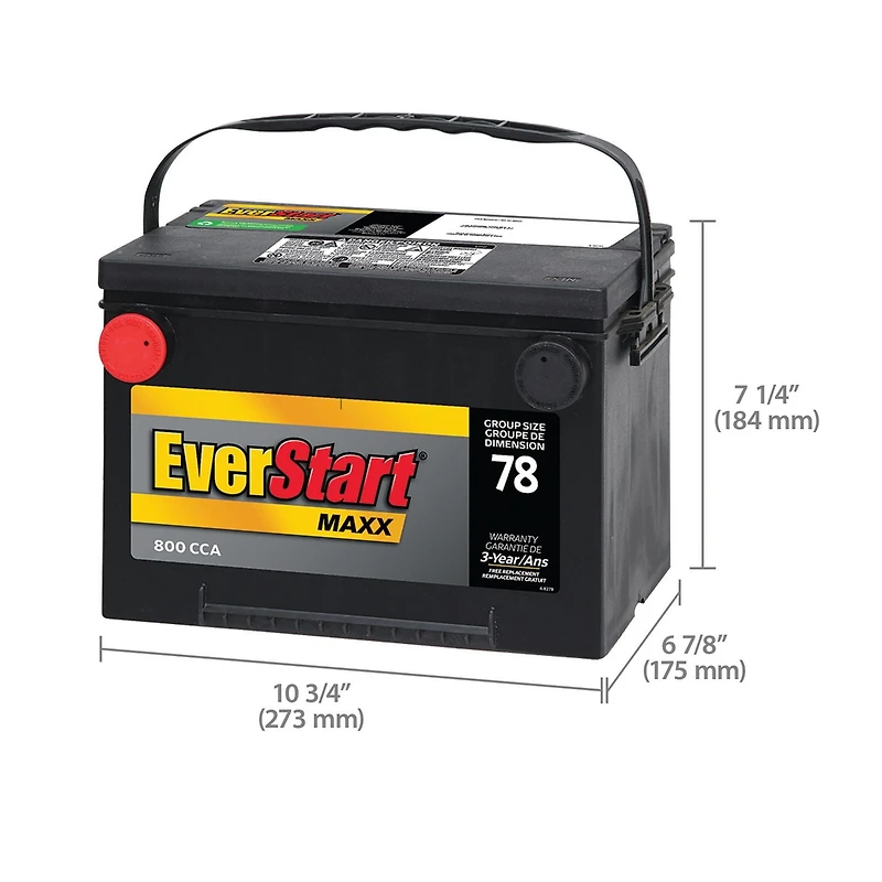 EverStart AUTO MAXX-78N 12 Volt, Auto Battery, Group 78, 800 CCA