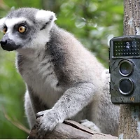 Technaxx TX-69 Nature Wild Cam Caméra de surveillance de la faune et de la maison à piles - Vert