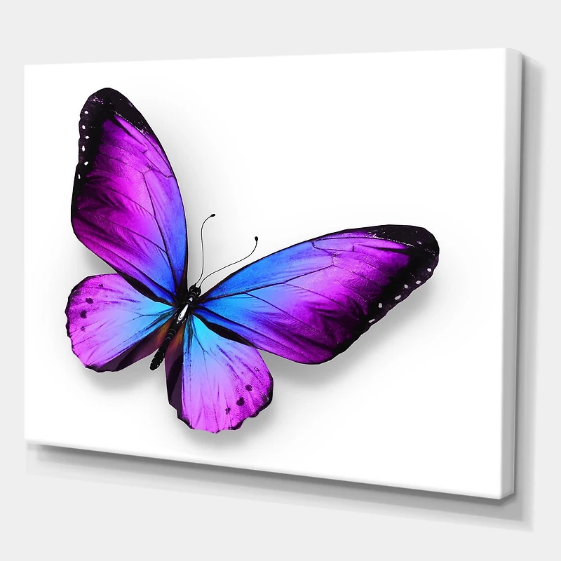 Designart Violet and Blue Butterfly Canvas Wall Art