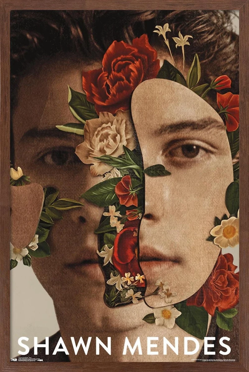 Shawn Mendes - Fleurs