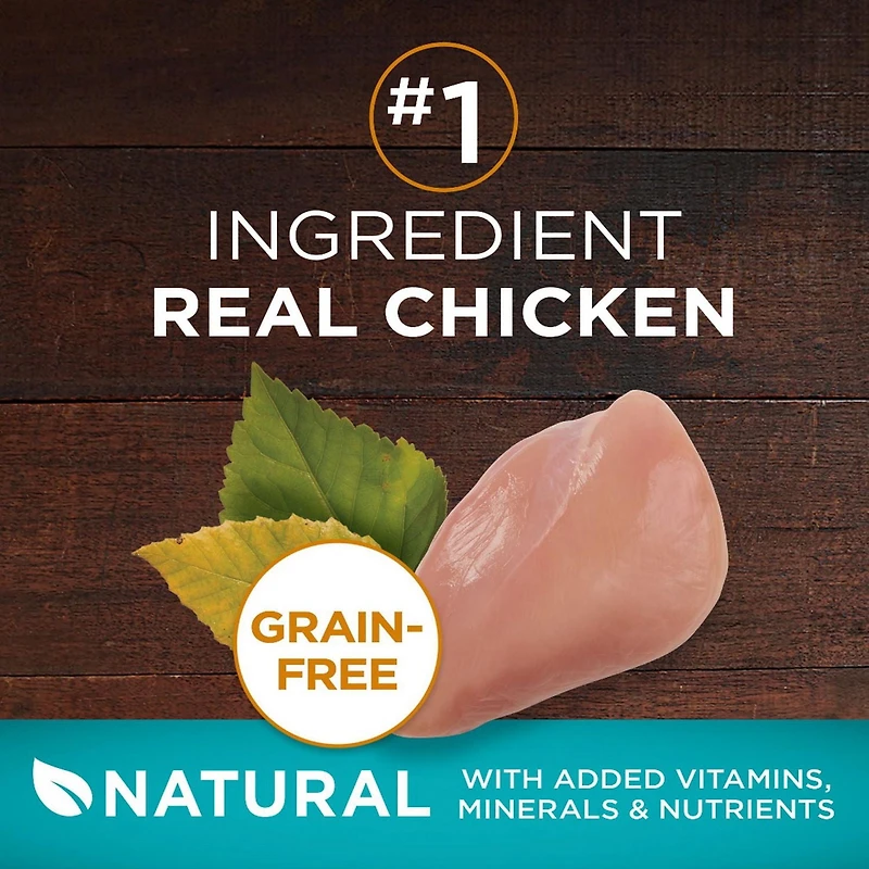 Purina ONE Véritable Instinct sans Grains Poulet, Nourriture Sèche pour Chats