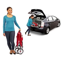 Radio Flyer 3-in-1 EZ Fold Wagon