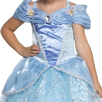 Toddlers' Charming Princess Costume 2T.