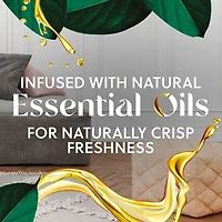 Air Wick Kit d'Huile Parfumée Enfichable Pin des Bois, 1 Réchaud + 2 Recharges (2x20mL)