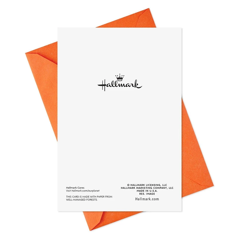 Hallmark Pumpkins and Leaves Thinking of You Cards (8 Cards With Envelopes)