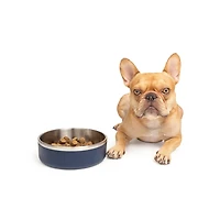 Un bol double en acier inoxydable pour chien, de taille moyenne, 1.3L (44 OZ) Le bol double en acier inoxydable