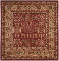 Safavieh Mahal Phylliss Traditional Area Rug