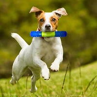 NERF Dog TPR EXO Squeak Stick Dog Chew Toy 6in