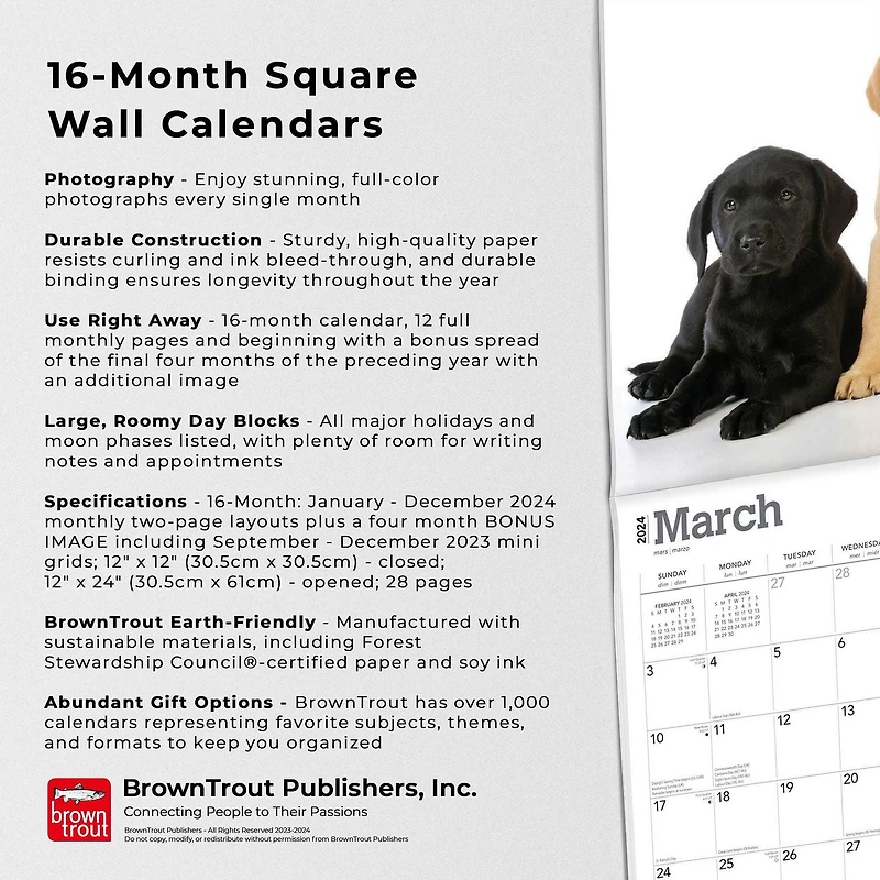 BrownTrout Labrador Retriever Puppies 2024 12x24 Inch Square Wall Calendar, 9781975463526