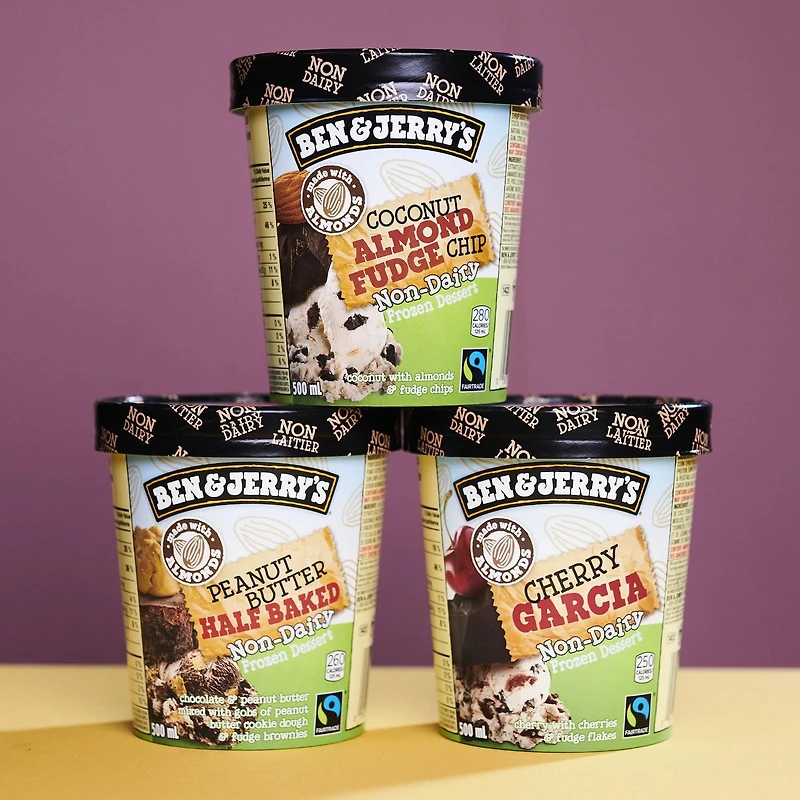 Ben & Jerry's Non Dairy Coconut Almond Fudge Chip Frozen Dessert, 500ml
