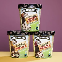Ben & Jerry's Non Dairy Coconut Almond Fudge Chip Frozen Dessert, 500ml