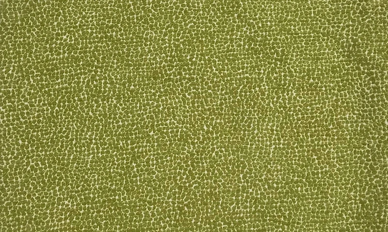 hometrends Keeley Kiwi Decorative Pillow