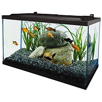 Tetra Complete LED Aquarium Kit 10GL, 10 Gallon (20x10x12)