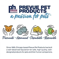 Prevue Paradise Swing Bird toy