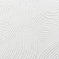 Primo Aspen 10-inch Gel Memory Foam Mattresses with 2 Pillows – Queen Size, Medium Firm, Cooling Sleep, CertiPUR-US Certified