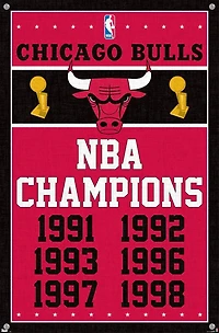 NBA Chicago Bulls - Champions 13 Wall Poster with Push Pins, 14.725" x 22.375"