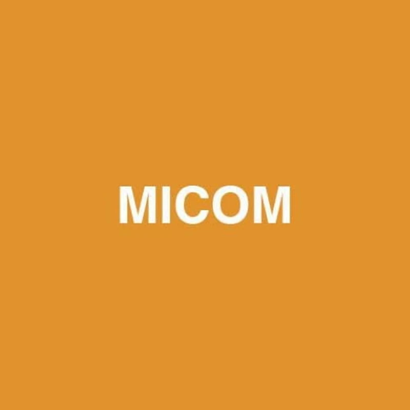 Zojirushi 5,5 tasses Micom Computer Cuiseur à riz multifonction et réchauffeur NS-WTC10