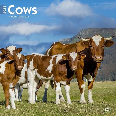 BrownTrout Cows 2024 12x24 Inch Square Wall Calendar, 9781975462499