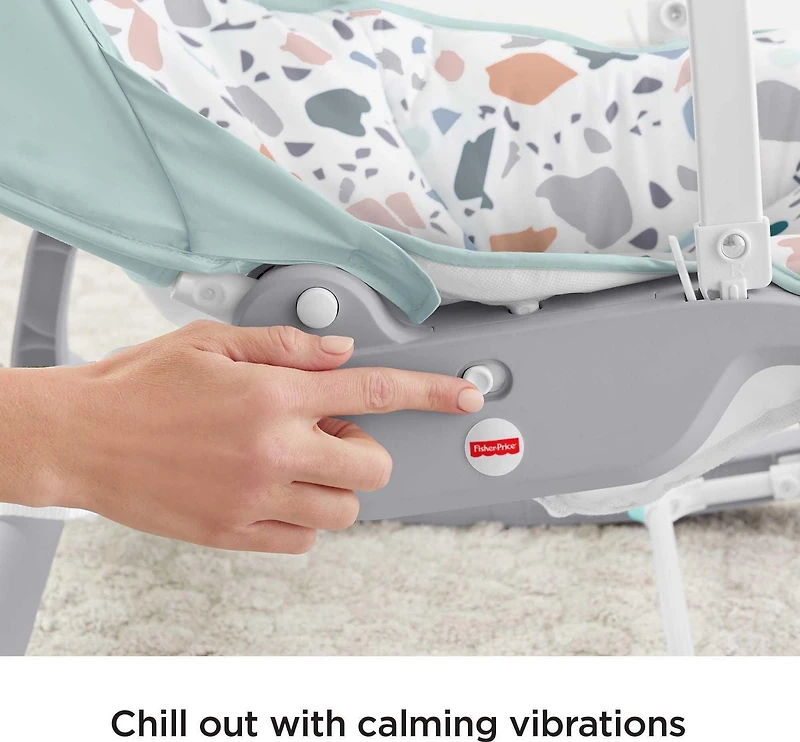 Fisher-Price Deluxe Infant-to-Toddler Rocker