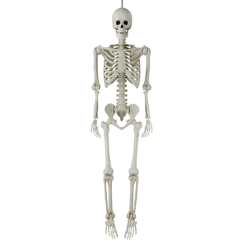 Déco d’halloween Tout Pour célébrer 60 pouces Squelette articulé