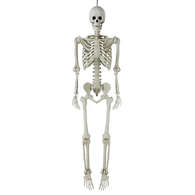 Déco d’halloween Tout Pour célébrer 60 pouces Squelette articulé
