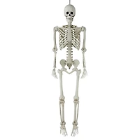 Déco d’halloween Tout Pour célébrer 60 pouces Squelette articulé
