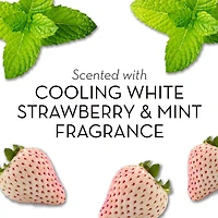 Olay Fresh OutlastMD Pain de beauté, fraise blanche rafraîchissante et menthe 4 pains, 90 g, fraise blanche et menthe