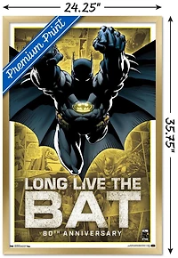 DC Comics - Batman - 80th Anniversary Wall Poster, 22.375" x 34"