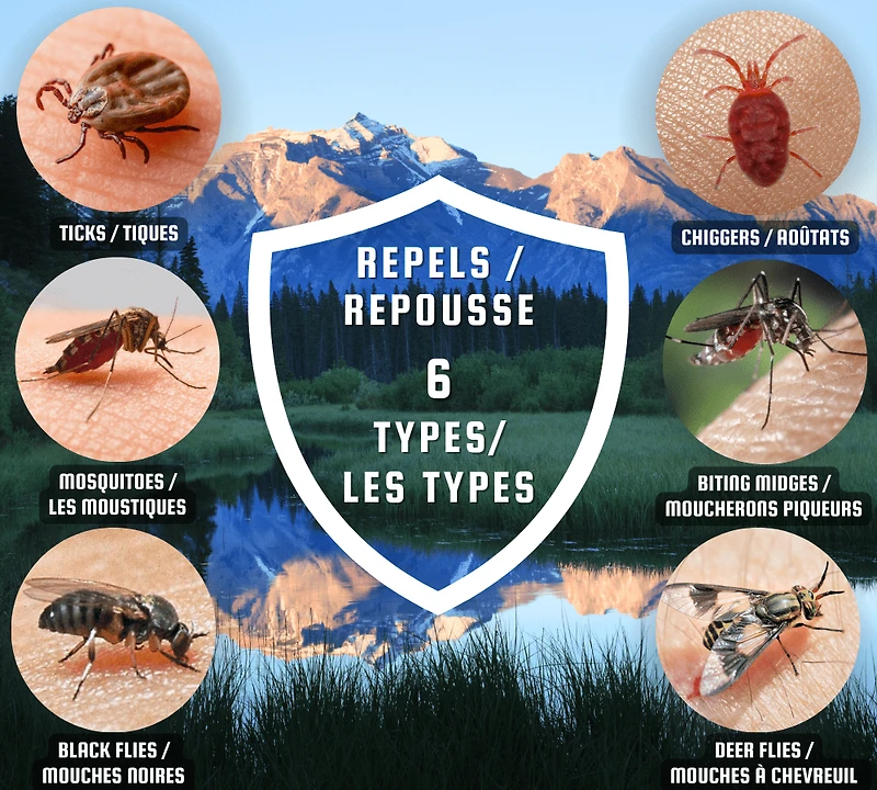 CSI REP TICK-170G - FRENCH