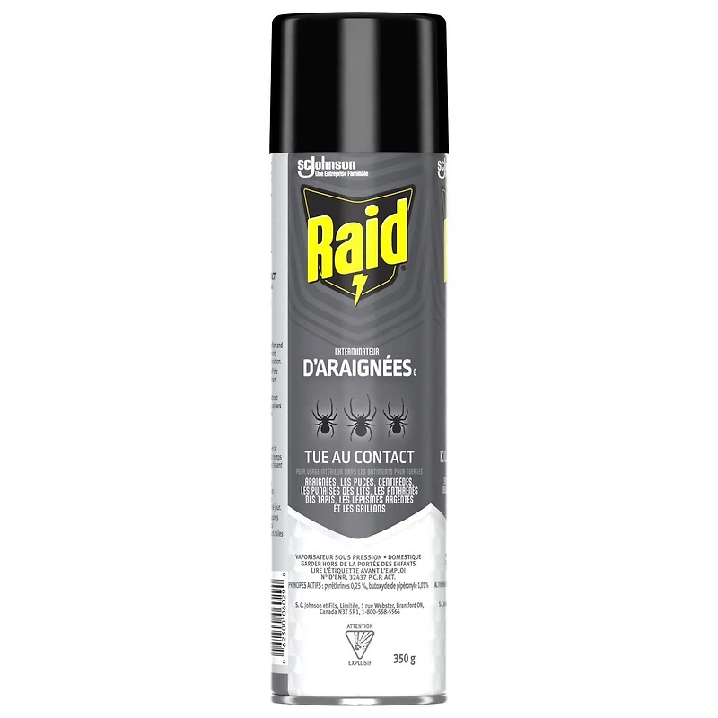 Raid Spider Blaster Insect Killer Spray, Kills Bugs on Contact, For Indoor and Outdoor Use, 350g