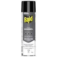 Raid Spider Blaster Insect Killer Spray, Kills Bugs on Contact, For Indoor and Outdoor Use, 350g