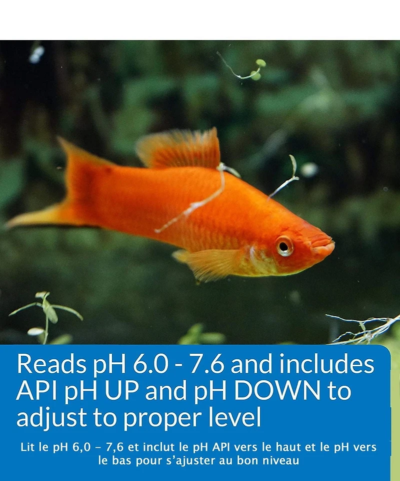 Kit de test de pH de luxe pour eau douce API