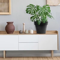 Tierra Verde 18" W x 16" H Baritone Self-Watering Recycled Planter - Black, Indoor/Outdoor