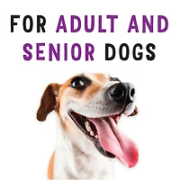 Beggin' Cheese Flavour with Bacon, Dog Treats, 170 g-1.13 kg