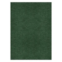 Tapis d'intérieur-extérieur vert de 6 pi x 8 pi
