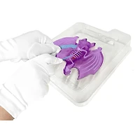 Chauve-souris au labo Dissect-It Chauve-souris au labo
