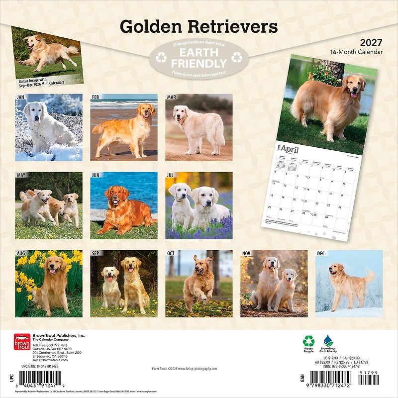 Golden Retrievers 2027 Carré